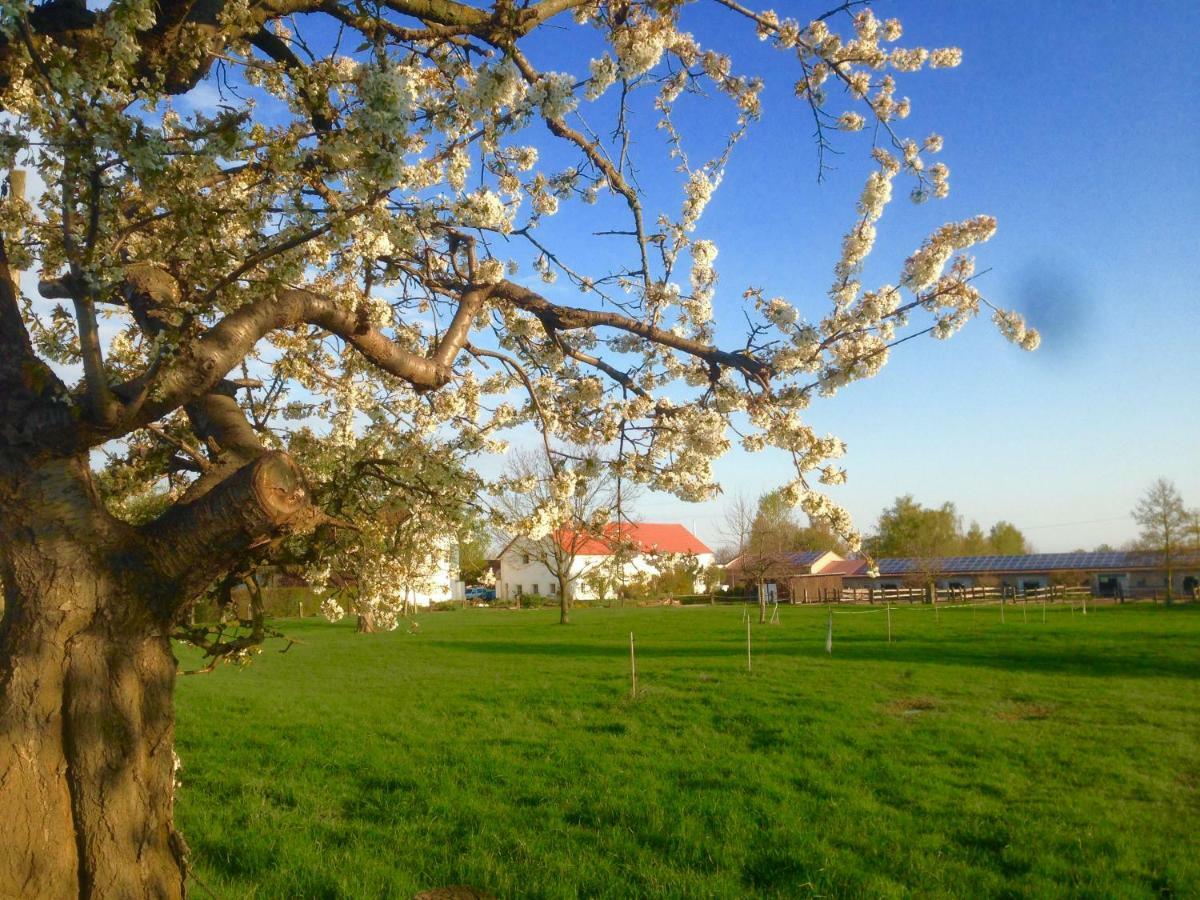 Ferienwohnung Zweinig 01 Kültér fotó